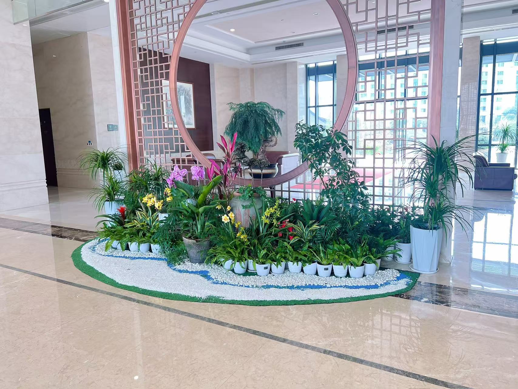 热选宁波北仑专业花木租赁，满足绿植需求